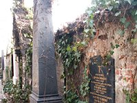 390 Reisenleitner - Davida